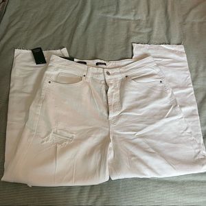 Wild Fable Highest Rise Straight